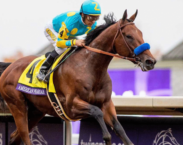 American Pharoah: A True Racing Icon