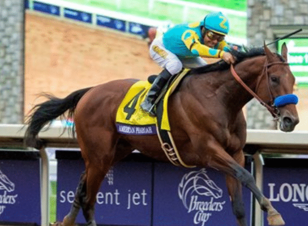 Approaches to Reducing Track Accidents